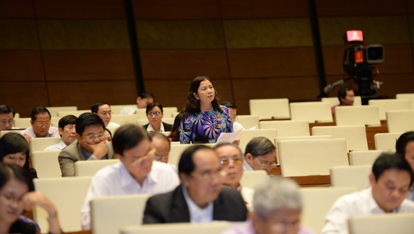 Votantes vietnamitas aplauden plan de desarrollo socioeconómico aprobado por el Parlamento - ảnh 1