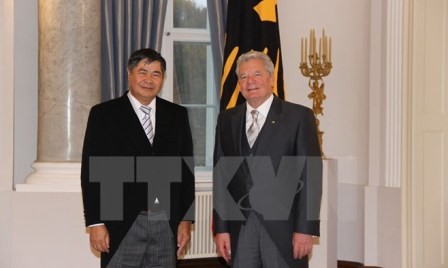 Embajador vietnamita presenta cartas credenciales ante presidente de Alemania - ảnh 1