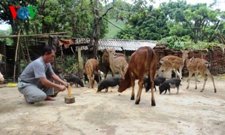 Una mejora dramática en la nueva comuna rural Muong Hung - ảnh 1