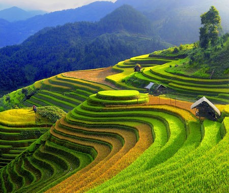 La sencilla belleza de la región montañosa de Vietnam - ảnh 4