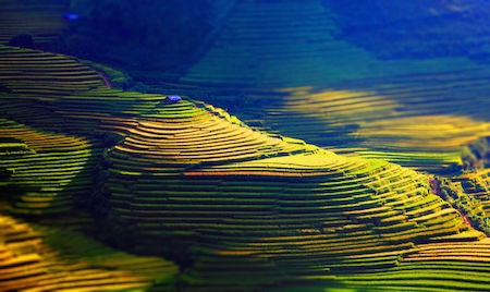 La sencilla belleza de la región montañosa de Vietnam - ảnh 5