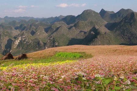 La sencilla belleza de la región montañosa de Vietnam - ảnh 6