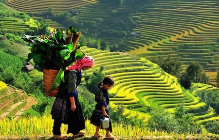 La sencilla belleza de la región montañosa de Vietnam - ảnh 7
