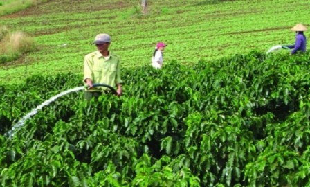 Tecnología agrícola punta del desarrollo sostenible en la Altiplanicie  - ảnh 2