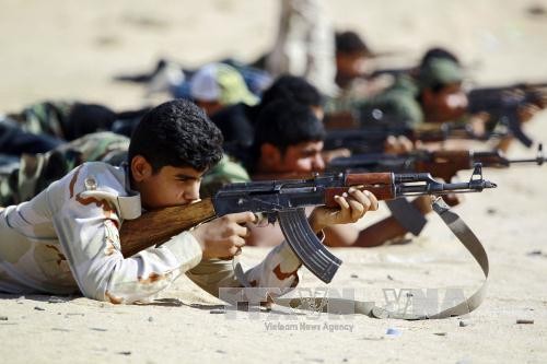 Iraq asegura tener fuerzas capaces de combatir el Estado Islámico - ảnh 1