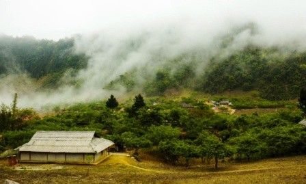Tierra alta de Moc Chau, destino atractivo para los turistas los fines de semana - ảnh 4