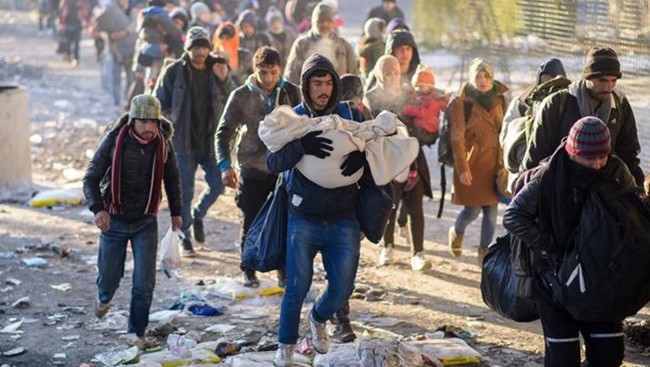 Más de un millón de migrantes arriban a Europa por vía marítima - ảnh 1