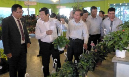 Presidente Truong Tan Sang valora altamente modelos agrícolas de alta tecnología en Lam Dong - ảnh 1