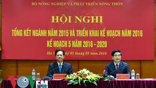 Exhorta premier vietnamita a favorecer inversiones de empresas en la agricultura  - ảnh 1