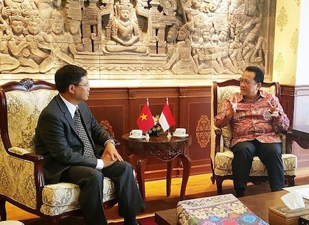 Indonesia y Vietnam promueven relaciones bilaterales - ảnh 1