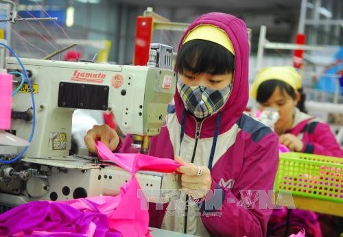 Otros 14,5 millones de trabajadores vietnamitas tendrán empleos en 2025 - ảnh 1