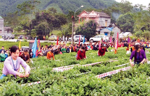 Inaugurado Festival del té de Dai Tu en la provincia de Thai Nguyen - ảnh 1