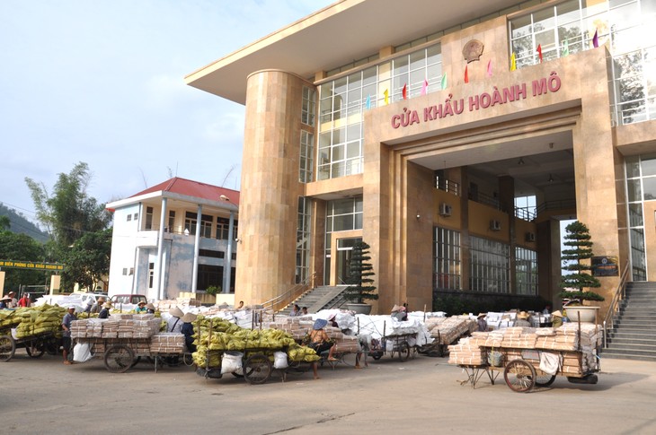 Perspectivas de desarrollo en las zonas económicas fronterizas en Quang Ninh - ảnh 1