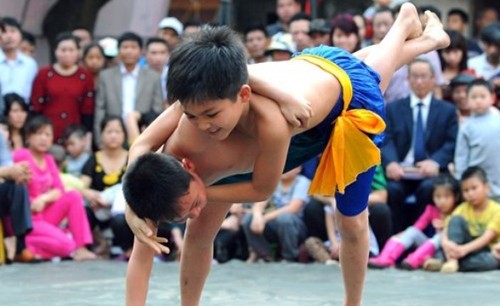 Arena de lucha tradicional de la aldea Mai Dong en Festival del Tet - ảnh 2