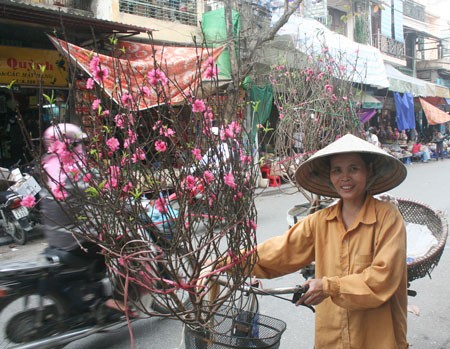 Identidad cultural en fiesta vietnamita del Tet  - ảnh 2
