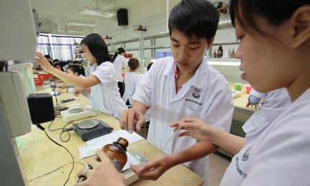 Convierten la industria farmacéutica en un sector clave de Vietnam - ảnh 1