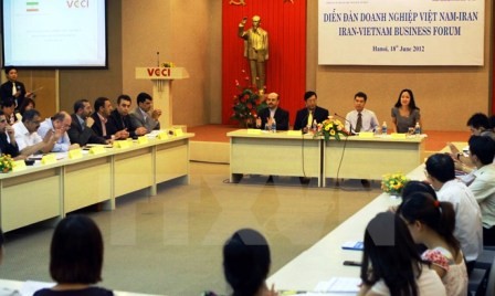 Entrevista a la prensa en vísperas de la visita del presidente vietnamita a Irán - ảnh 1