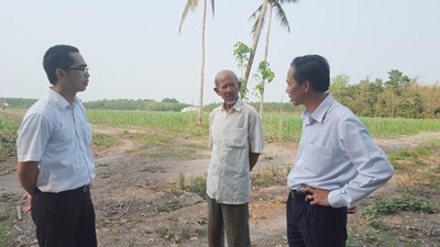 Préstamo en grupo asociado beneficia a agricultores de Tay Ninh - ảnh 2