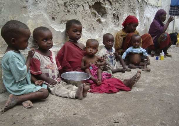 ONU llama ayudas humanitarias urgentes para Somalia - ảnh 1