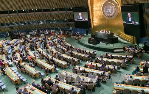 ONU insta a los países a aplicar con urgencia objetivos de desarrollo sostenible - ảnh 1