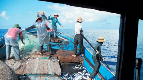 Asociación de la Pesca de Vietnam impugna prohibición china de captura de mariscos en Mar Oriental - ảnh 1