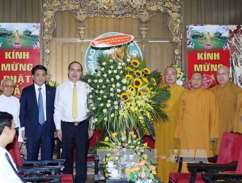 Progreso del budismo evidencia la libertad religiosa en Vietnam - ảnh 1