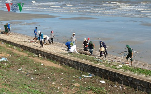 Localidades vietnamitas responden al Dia Mundial del Medio Ambiente  - ảnh 1
