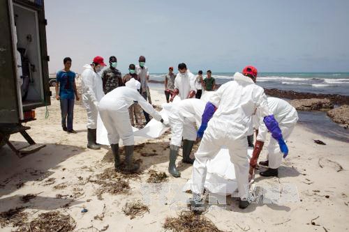 Se encontraron restos de 133 migrantes en costa de Libia - ảnh 1