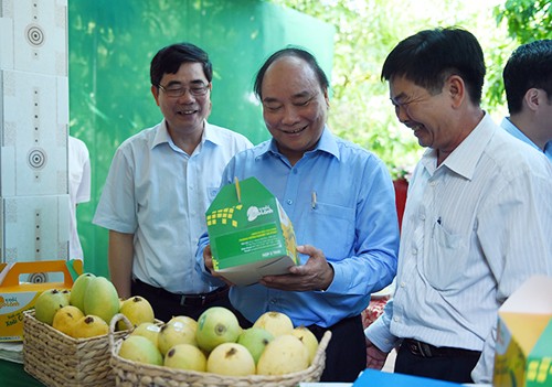 Primer ministro continúa visita de trabajo en provincia de Dong Thap - ảnh 1