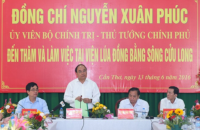 Primer ministro sigue su recorrido por Delta del río Mekong - ảnh 1