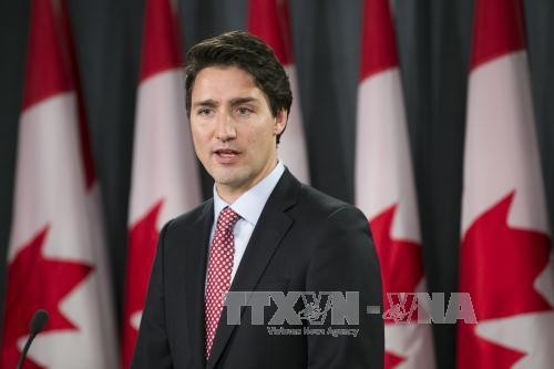 Canadá confirma segundo rehén ejecutado en Filipinas - ảnh 1