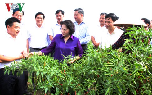 Jefa parlamentaria orienta construcción de nuevo modelo de zona rural en Lang Son - ảnh 1