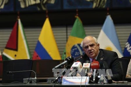 Unasur convocará a reunión extraordinaria sobre la situación en Venezuela - ảnh 1