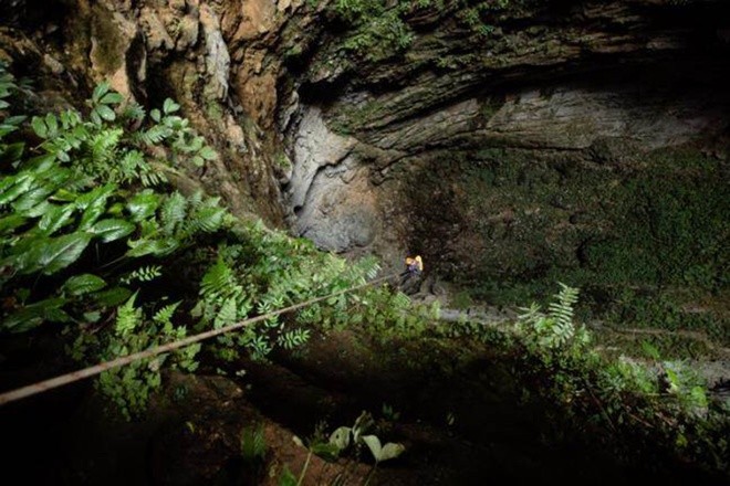 Nuevas cavernas descubrietas en provincia centrovietnamita  - ảnh 9
