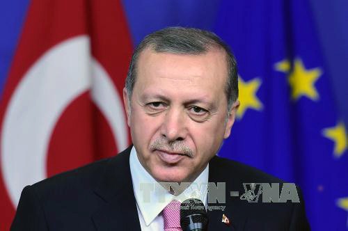 Señales de descongelación de relaciones entre Rusia y Turquía - ảnh 1