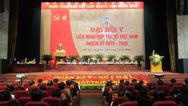 Ponderan aportes de las cooperativas al desarrollo socioeconómico de Vietnam - ảnh 1