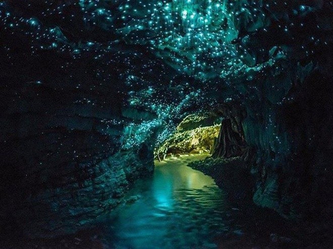 Son Doong entra en Top de cuevas con belleza misteriosa del mundo - ảnh 4