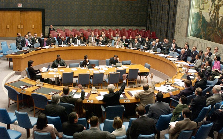 Malasia asume oficialmente la presidencia rotatoria del Consejo de Seguridad de la ONU - ảnh 1