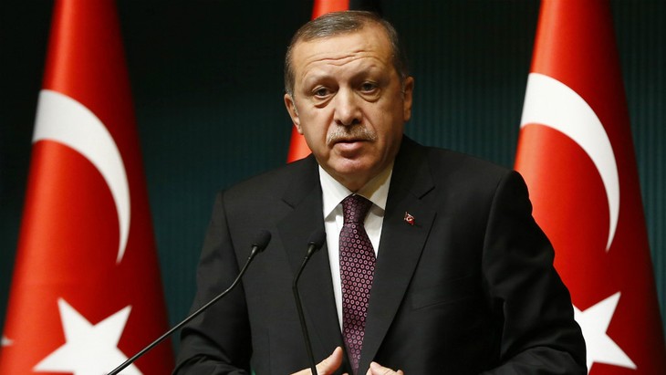 Esfuerzos del gobierno turco en recuperar estabilidad nacional - ảnh 1