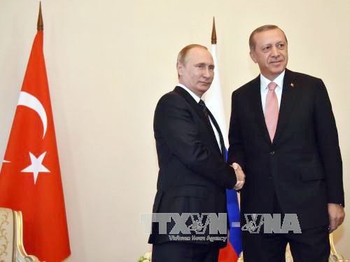 Relaciones Rusia-Turquía superan etapa de altibajos  - ảnh 2