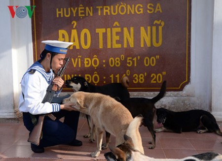 Truong Sa en los ojos de periodista de la Voz de Vietnam - ảnh 7