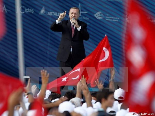 Presidente turco: continuarán más cambios en el gabinete - ảnh 1