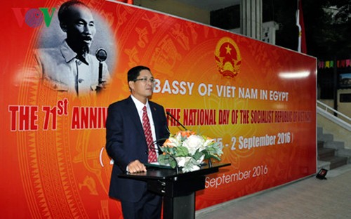 Embajadas vietnamitas en ultramar celebran Día de la Independencia Nacional - ảnh 1