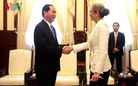 Presidente Tran Dai Quang recibe a embajadores de Países Bajos y Azerbaiyán - ảnh 1