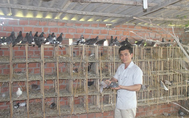 Delta del río Mekong desarrolla ganadería compatible con sequía y salinización - ảnh 1