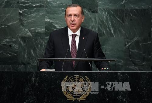 Turquía condiciona su participación en operaciones contra yihadistas - ảnh 1