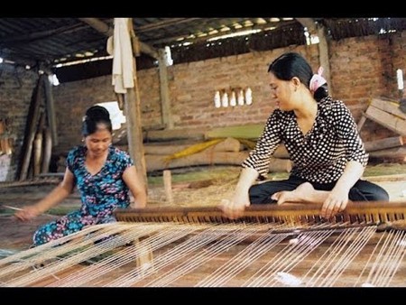 Tejido de esteras de juncia, en Thai Binh - ảnh 1