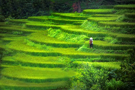 La belleza de Vietnam captada por turista norteamericano - ảnh 1