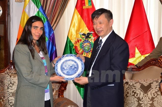 Vietnam se interesa en impulsar relaciones con partidos políticos de Bolivia - ảnh 1