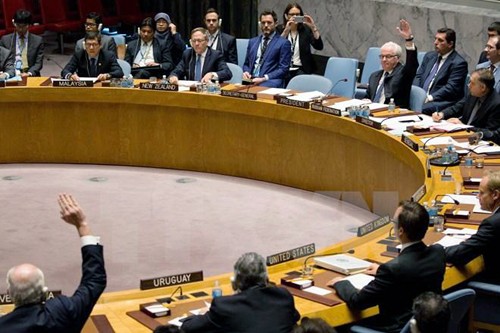 Discrepancias profundas en el Consejo de Seguridad de la ONU sobre la paz en Siria - ảnh 1